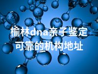 榆林dna亲子鉴定可靠的机构地址