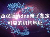 西双版纳dna亲子鉴定可靠的机构地址