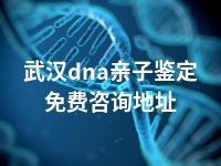 武汉dna亲子鉴定免费咨询地址