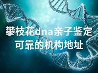 攀枝花dna亲子鉴定可靠的机构地址