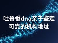 吐鲁番dna亲子鉴定可靠的机构地址