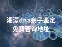 湘潭dna亲子鉴定免费咨询地址