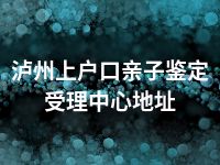 泸州上户口亲子鉴定受理中心地址