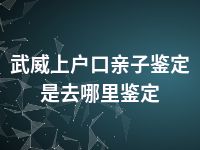 武威上户口亲子鉴定是去哪里鉴定