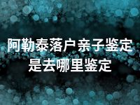 阿勒泰落户亲子鉴定是去哪里鉴定