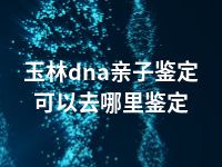 玉林dna亲子鉴定可以去哪里鉴定