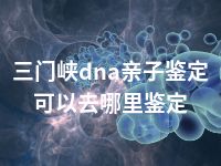 三门峡dna亲子鉴定可以去哪里鉴定