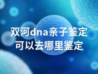 双河dna亲子鉴定可以去哪里鉴定