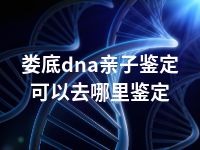 娄底dna亲子鉴定可以去哪里鉴定