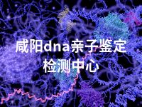 咸阳dna亲子鉴定检测中心