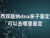 西双版纳dna亲子鉴定可以去哪里鉴定