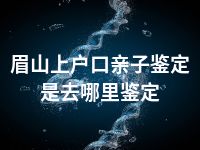 眉山上户口亲子鉴定是去哪里鉴定