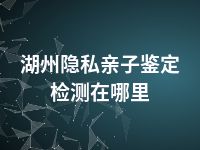 湖州隐私亲子鉴定检测在哪里