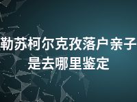 克孜勒苏柯尔克孜落户亲子鉴定是去哪里鉴定