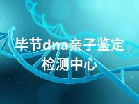 毕节dna亲子鉴定检测中心