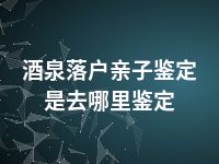 酒泉落户亲子鉴定是去哪里鉴定