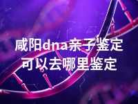 咸阳dna亲子鉴定可以去哪里鉴定