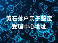 黄石落户亲子鉴定受理中心地址