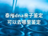 泰州dna亲子鉴定可以去哪里鉴定