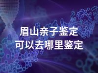 眉山亲子鉴定可以去哪里鉴定