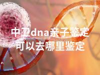 中卫dna亲子鉴定可以去哪里鉴定