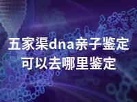 五家渠dna亲子鉴定可以去哪里鉴定