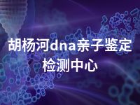 胡杨河dna亲子鉴定检测中心