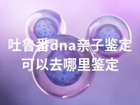 吐鲁番dna亲子鉴定可以去哪里鉴定