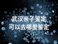 武汉亲子鉴定可以去哪里鉴定