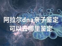 阿拉尔dna亲子鉴定可以去哪里鉴定