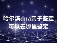 哈尔滨dna亲子鉴定可以去哪里鉴定