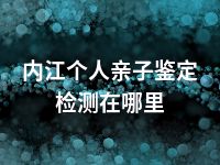 内江个人亲子鉴定检测在哪里