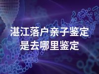 湛江落户亲子鉴定是去哪里鉴定