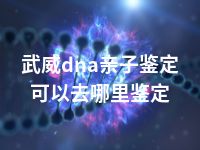 武威dna亲子鉴定可以去哪里鉴定