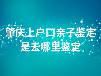 肇庆上户口亲子鉴定是去哪里鉴定