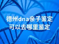 德州dna亲子鉴定可以去哪里鉴定