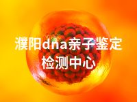 濮阳dna亲子鉴定检测中心