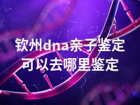 钦州dna亲子鉴定可以去哪里鉴定