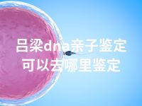 吕梁dna亲子鉴定可以去哪里鉴定