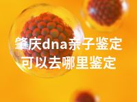 肇庆dna亲子鉴定可以去哪里鉴定