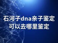 石河子dna亲子鉴定可以去哪里鉴定