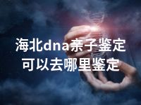 海北dna亲子鉴定可以去哪里鉴定