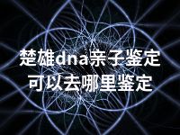 楚雄dna亲子鉴定可以去哪里鉴定