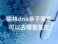 榆林dna亲子鉴定可以去哪里鉴定