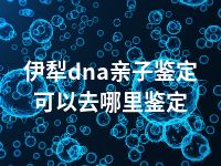 伊犁dna亲子鉴定可以去哪里鉴定