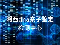 湘西dna亲子鉴定检测中心