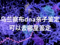 乌兰察布dna亲子鉴定可以去哪里鉴定