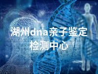 湖州dna亲子鉴定检测中心