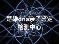 楚雄dna亲子鉴定检测中心