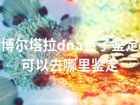 博尔塔拉dna亲子鉴定可以去哪里鉴定